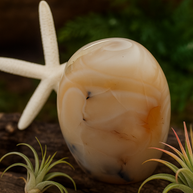 Natural Agate Crystal Freeform 300-400g