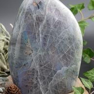 Purple Labradorite Crystal Freeform 350-450g