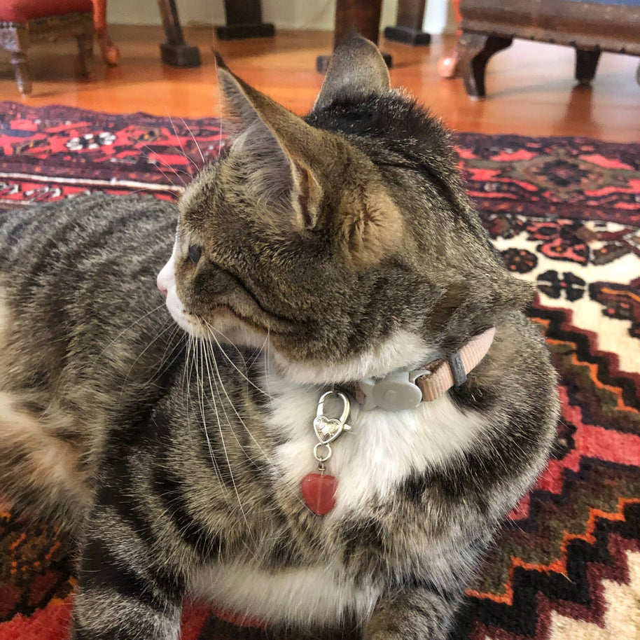 Cherry Quartz Heart Crystal Pet Charm