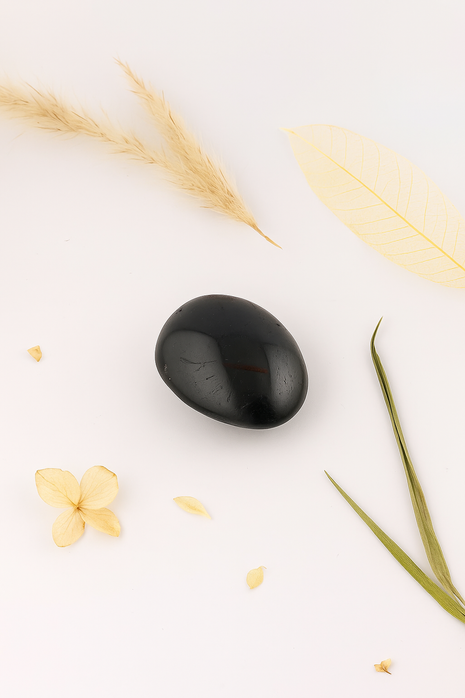 Black Tourmaline Crystal Palm Stone