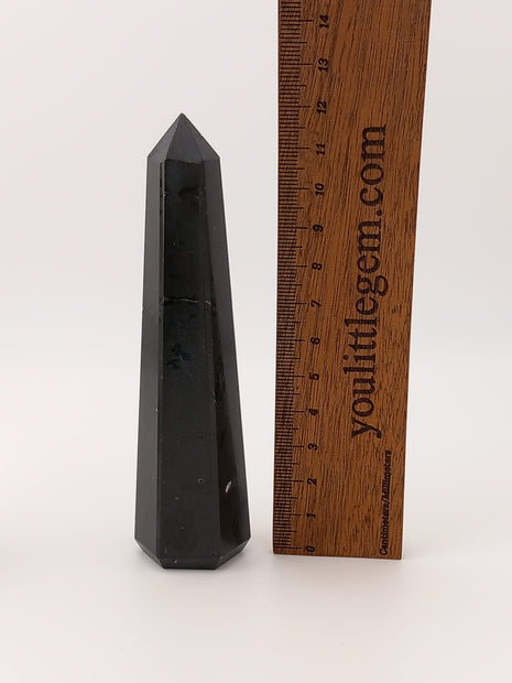 Small Polished Black Tourmaline Crystal Tower