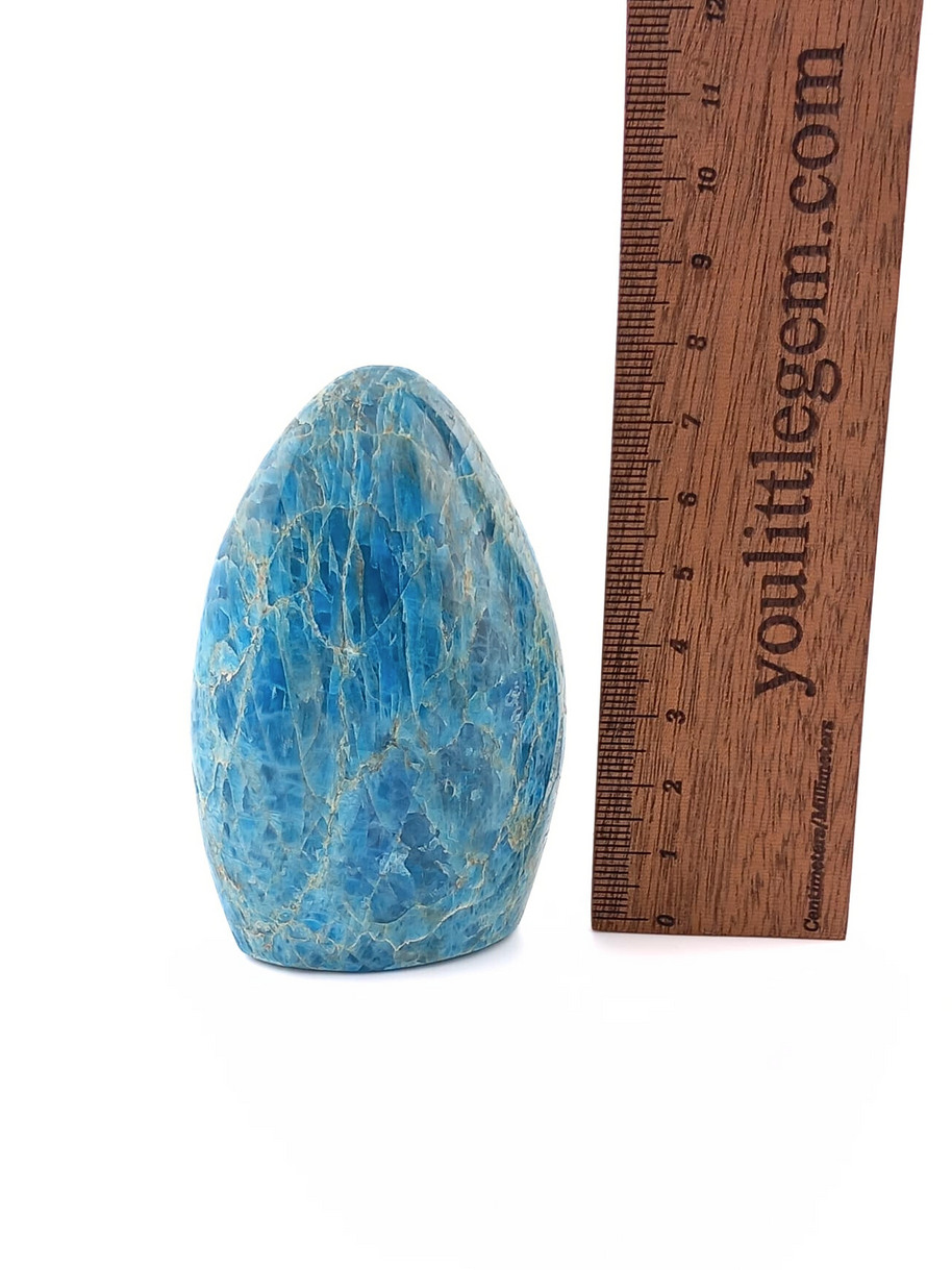 Blue Apatite Crystal Freeform 200-300g