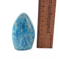 Blue Apatite Crystal Freeform 200-300g
