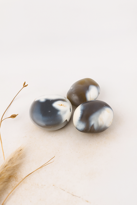 Orca Agate Crystal Palm Stone