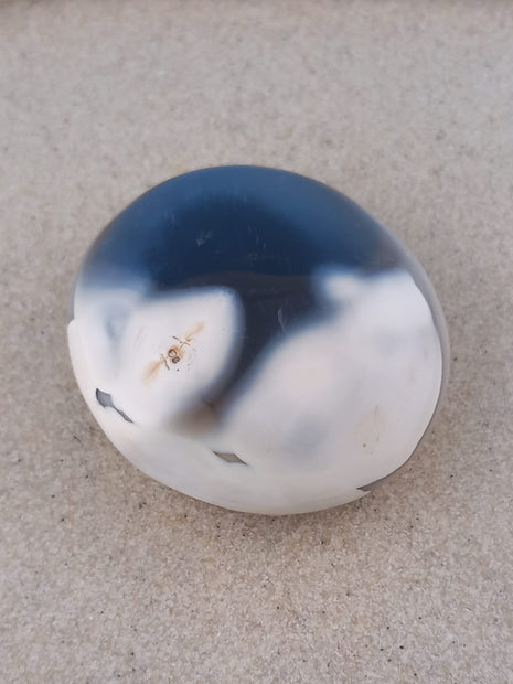 Orca Agate Crystal Palm Stone