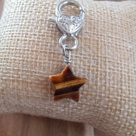 Tiger’s Eye Star Crystal Pet Charm